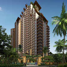 banner-project-details