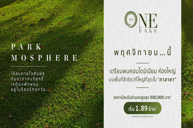 banner-project-details