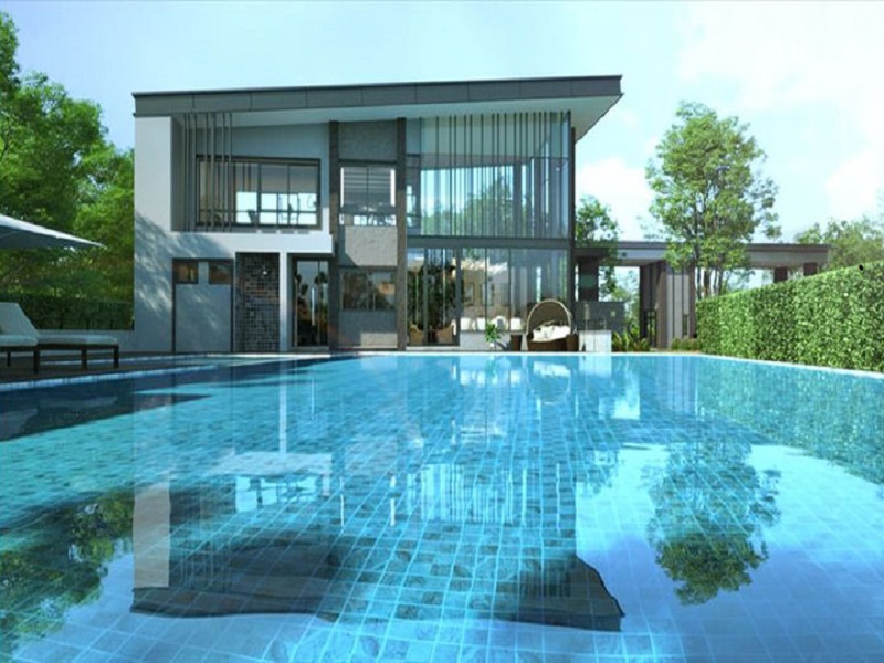 The-Plant-Kanchana-Bangyai