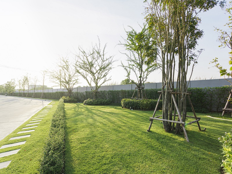 เดอะริคโค้-ทาวน์-วงแหวนฯ-ลำลูกกา