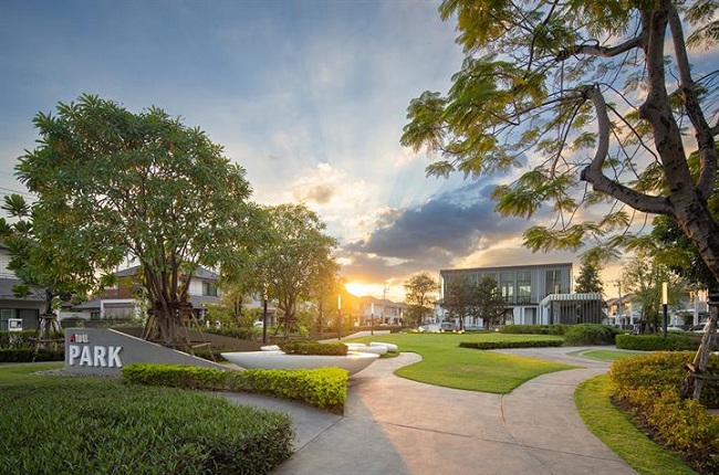 banner-project-details