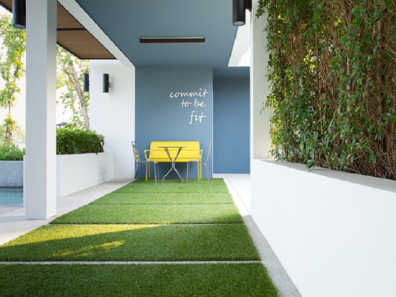 เดอะ-คัลเลอร์ส-เปอตี-วงแหวน-ราชพฤกษ์