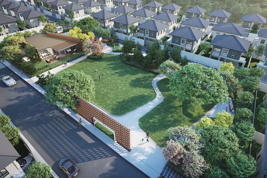 สัมมากร-ชัยพฤกษ์-วงแหวน