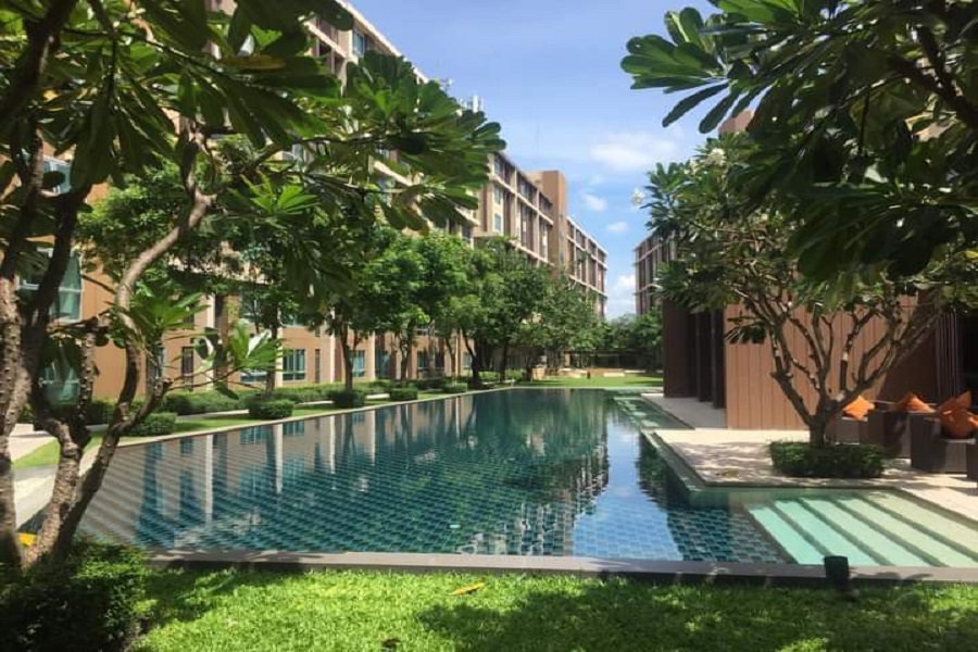 D-condo-Campus-Rangsit