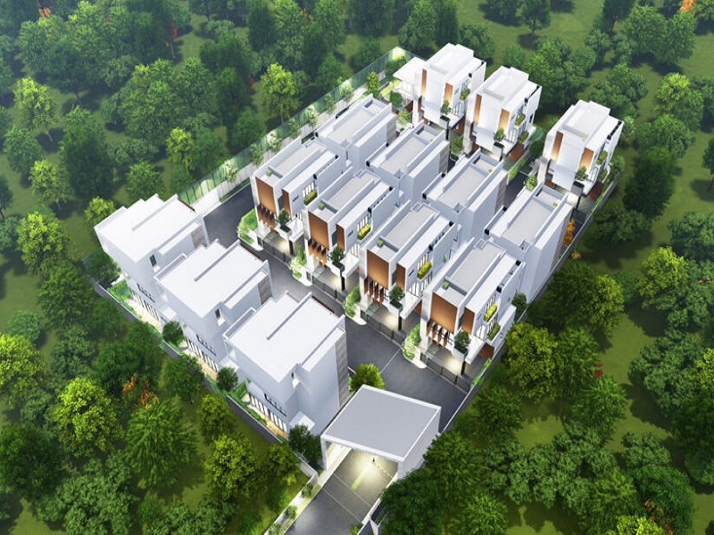 The-Scholar-Don-Mueang