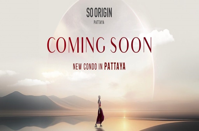 banner-project-details