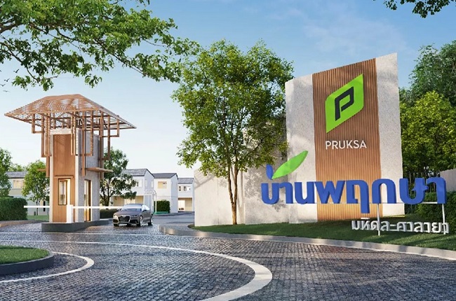 banner-project-details