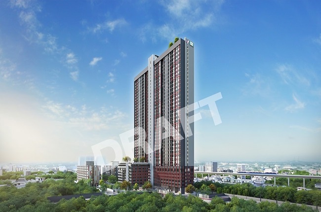 banner-project-details