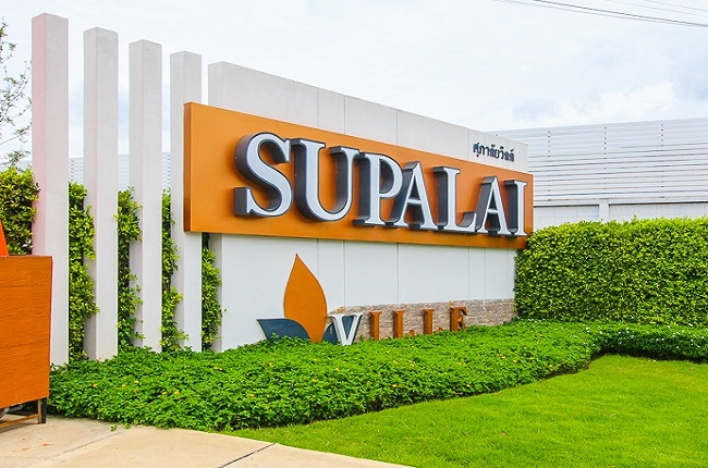 banner-project-details