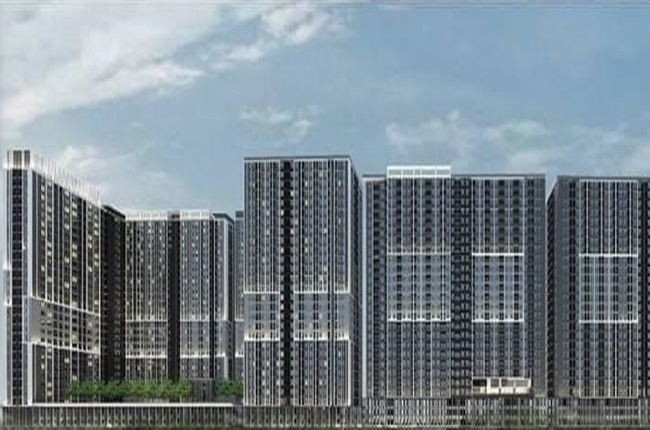 banner-project-details