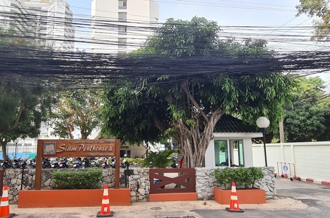 banner-project-details