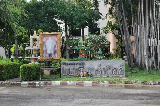 banner-project-details