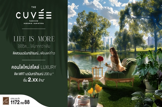 banner-project-details