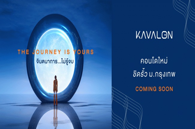 banner-project-details