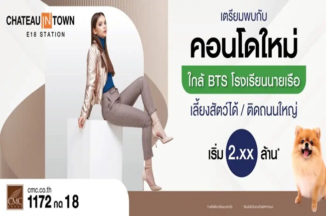 banner-project-details