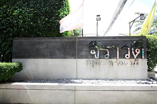 banner-project-details