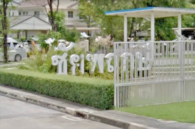 banner-project-details