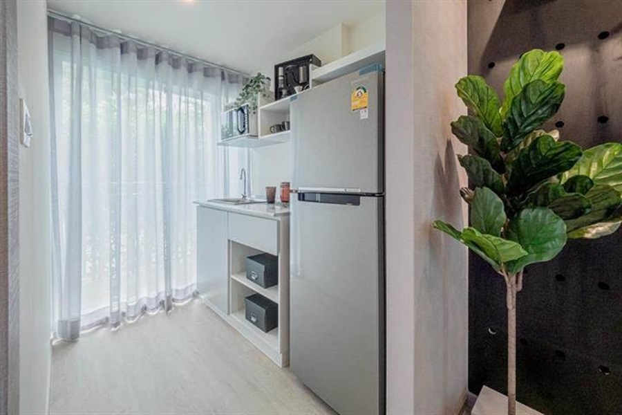 เอิร์น-บาย-แอล-พี-เอ็น-