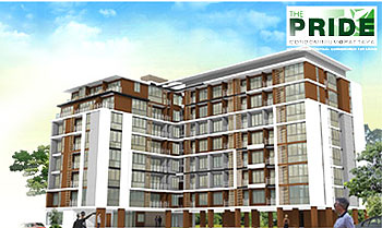 banner-project-details