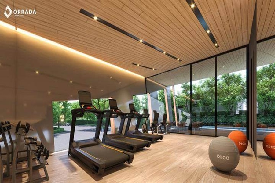 เดอะ-เดคโค่-บางนา