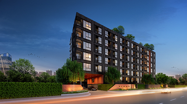 banner-project-details